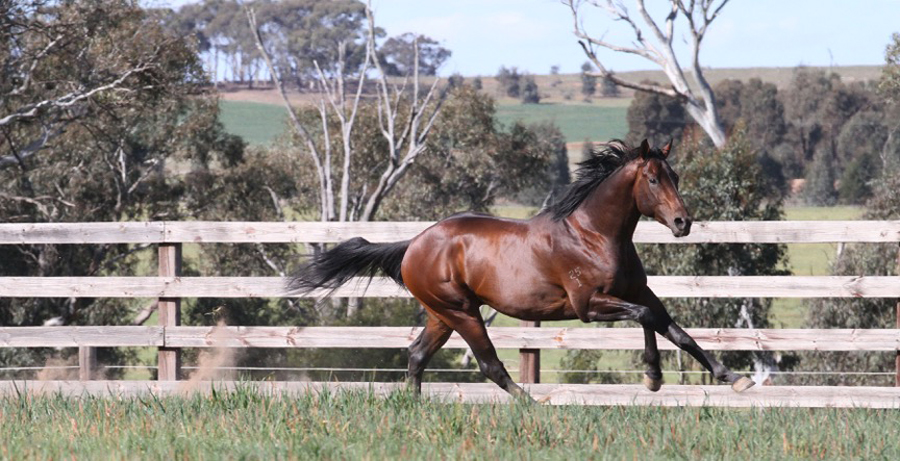 Heartbreaking Loss of Unencumbered